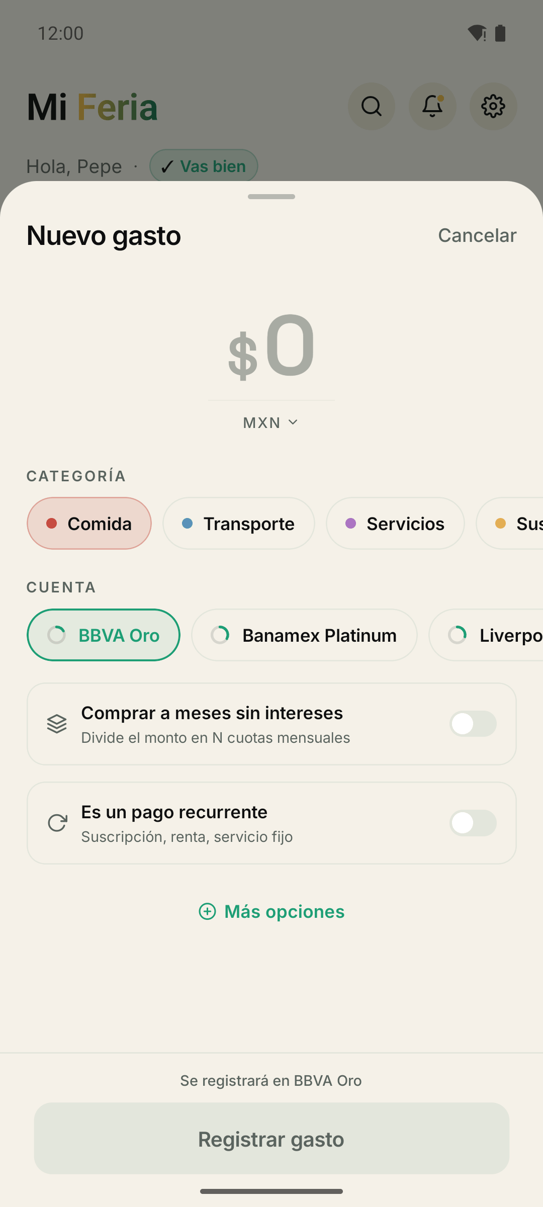 Sheet de captura de gasto